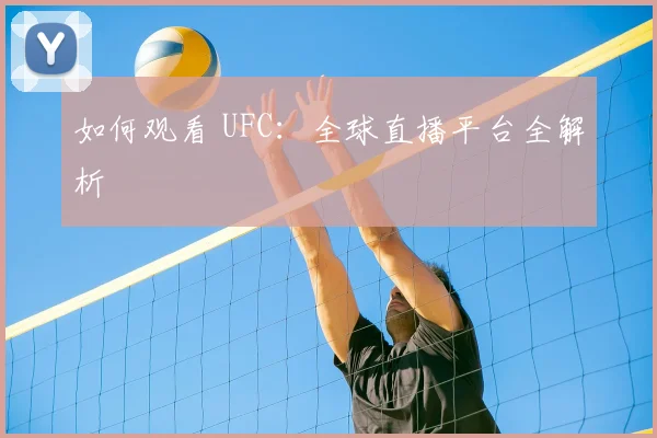 如何观看 UFC:全球直播平台全解析