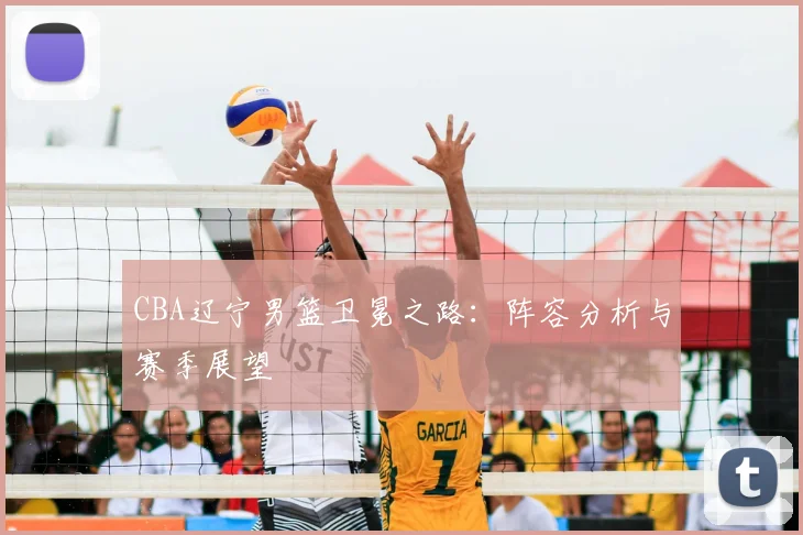 CBA辽宁男篮卫冕之路：阵容分析与赛季展望